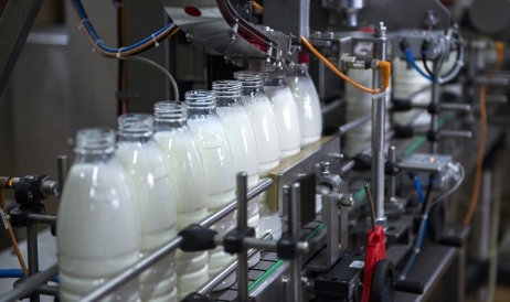 Dumping ucrainean pe piața lactatelor. Cum va supraviețui ramura 